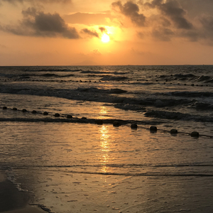 丰满少妇不让拔出来
